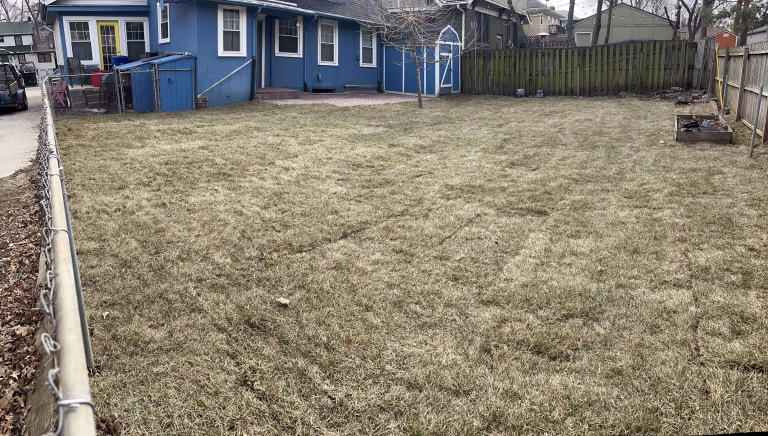 After: newly laid sod across the same yard.